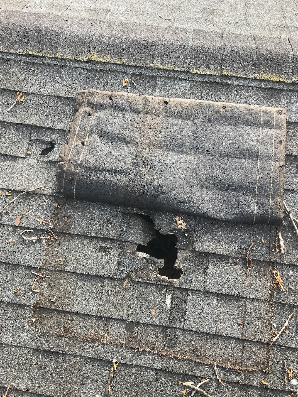 Frabutt Brothers Construction | 26765 Lyndon St, Redford Township, MI 48239, USA | Phone: (734) 536-1945