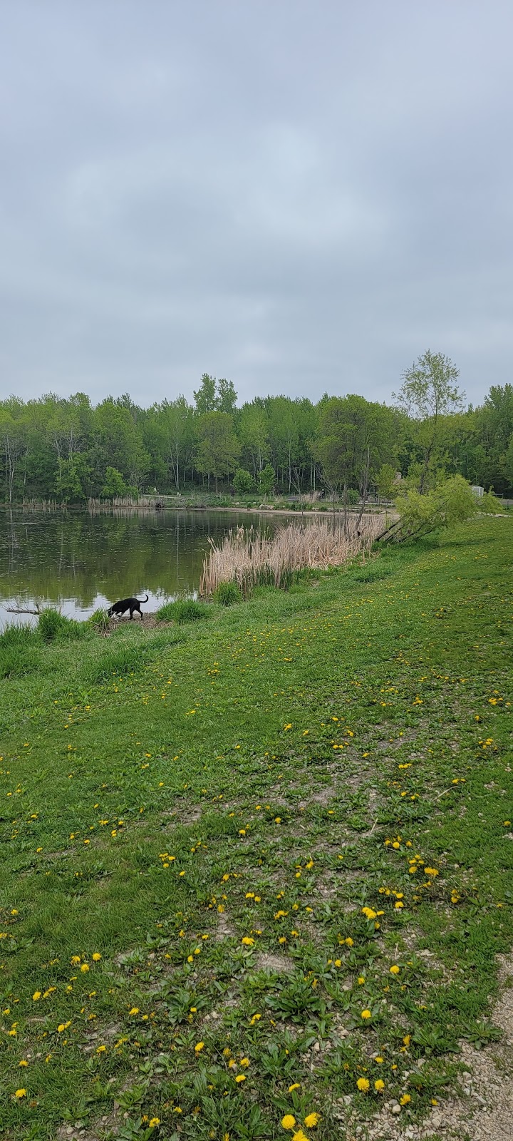 Alimagnet Dog Park | 1200 Alimagnet Pkwy #2, Burnsville, MN 55337, USA | Phone: (952) 895-4500