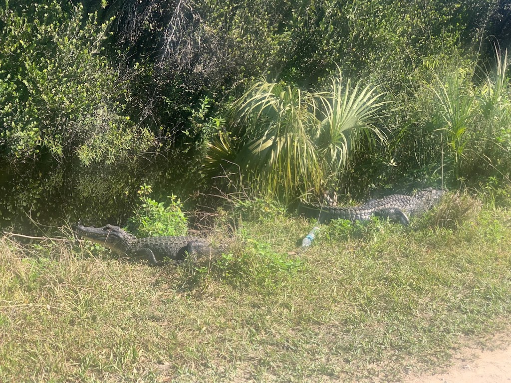Everglades River of Grass Adventures | 52105 Tamiami Trail E, Ochopee, FL 34141, USA | Phone: (305) 788-2418