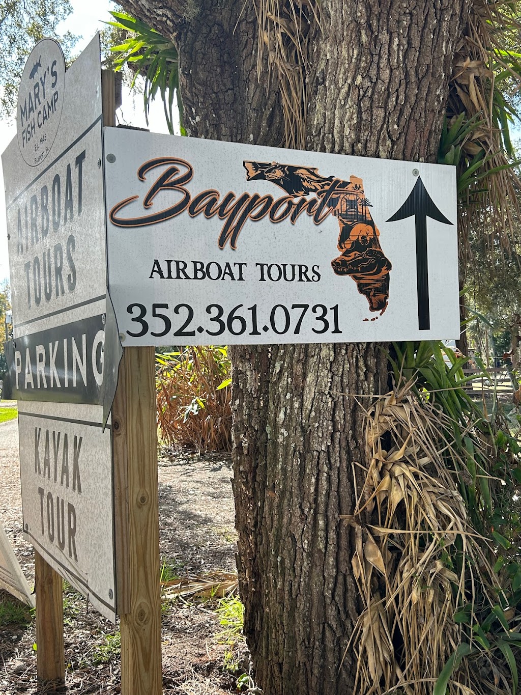 Bayport Airboat Tours | 8092 Marys Fish Camp Rd, Spring Hill, FL 34607, USA | Phone: (352) 361-0731