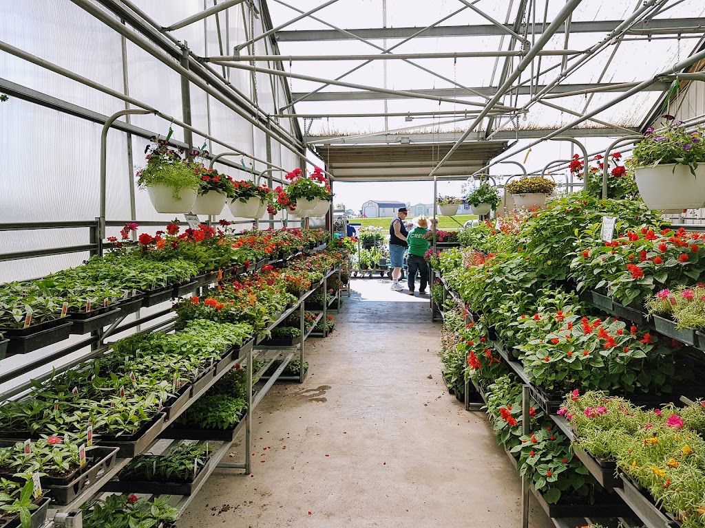 Stuckmeyer Plants & Produce | 8940 Trolley Rd, Columbia, IL 62236, USA | Phone: (618) 939-9100