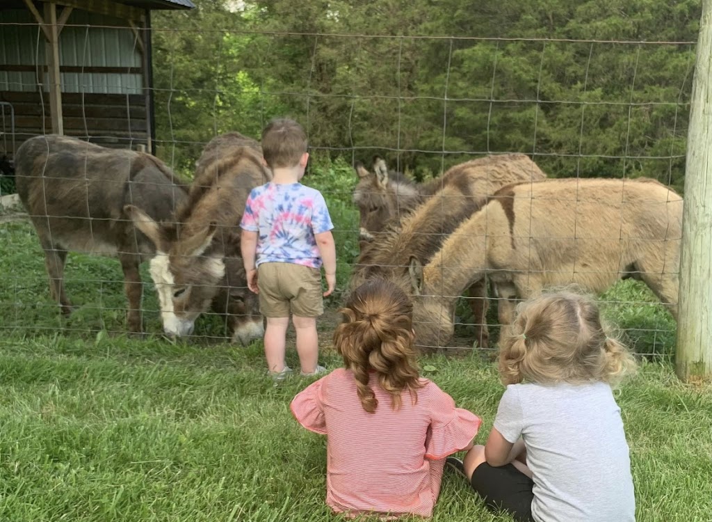 Little crooked creek safari | 1430 Little Crooked Creek Rd, Lawrenceburg, KY 40342, USA | Phone: (502) 445-6501