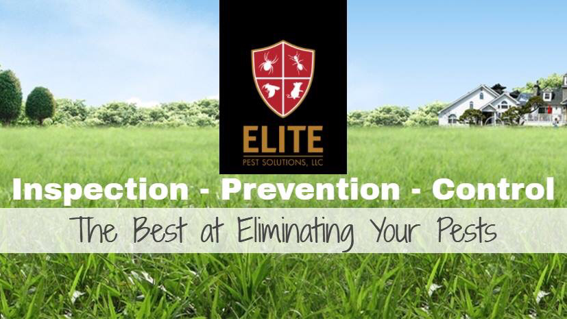 Elite Pest Solutions, LLC | W5733 Packer Ln, Pardeeville, WI 53954, USA | Phone: (608) 622-9688