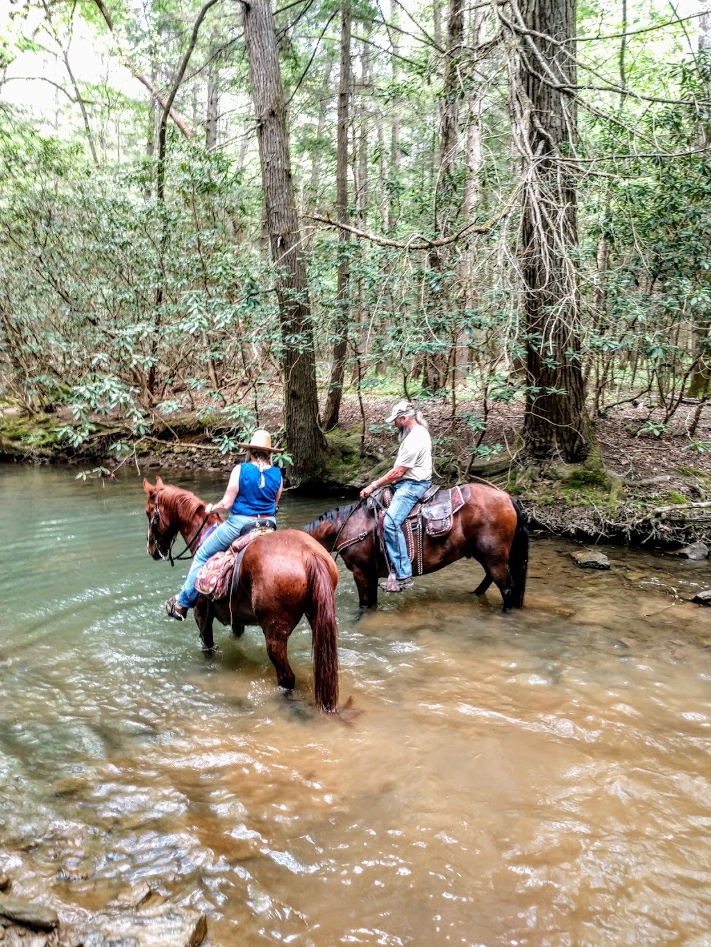 S-Tree Campground | Tussey Hill Rd, McKee, KY 40447, USA | Phone: (606) 864-4163