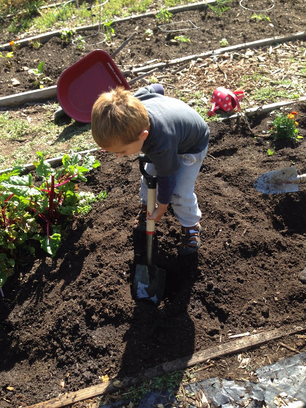 Mi Casita de Español Preschool | 4133 Wilkie Way, Palo Alto, CA 94306, USA | Phone: (650) 468-1788