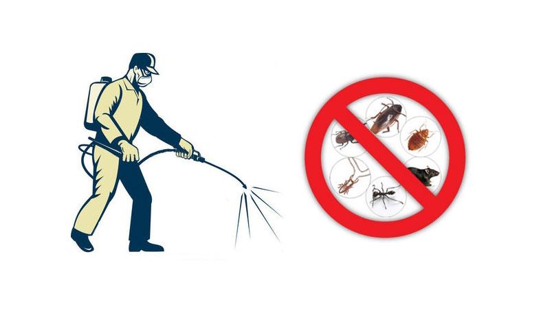 First Rate Pest Control | 7955 Thomas Rd, Middletown, OH 45042, USA | Phone: (513) 465-9071