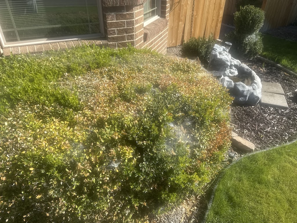 TriGuard Pest Control | 11167 Tungsten St Suite 101, Caldwell, ID 83605, USA | Phone: (208) 999-5070