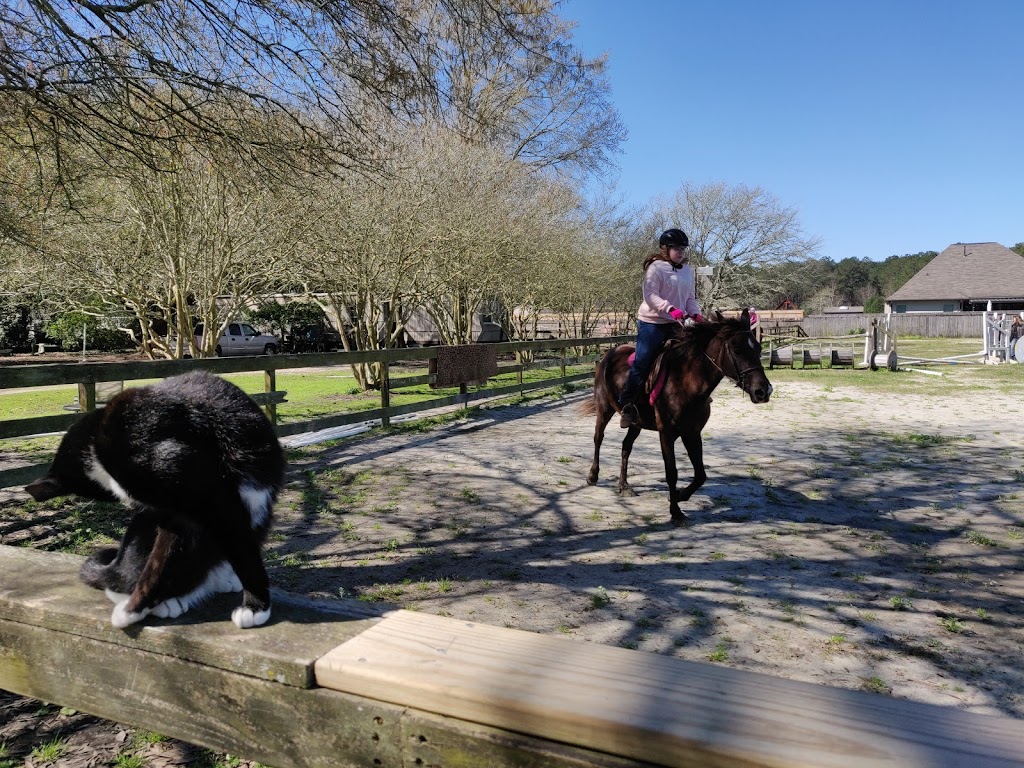 Madisonville Equestrian Center | 135 Vista St, Madisonville, LA 70447, USA | Phone: (985) 778-6981