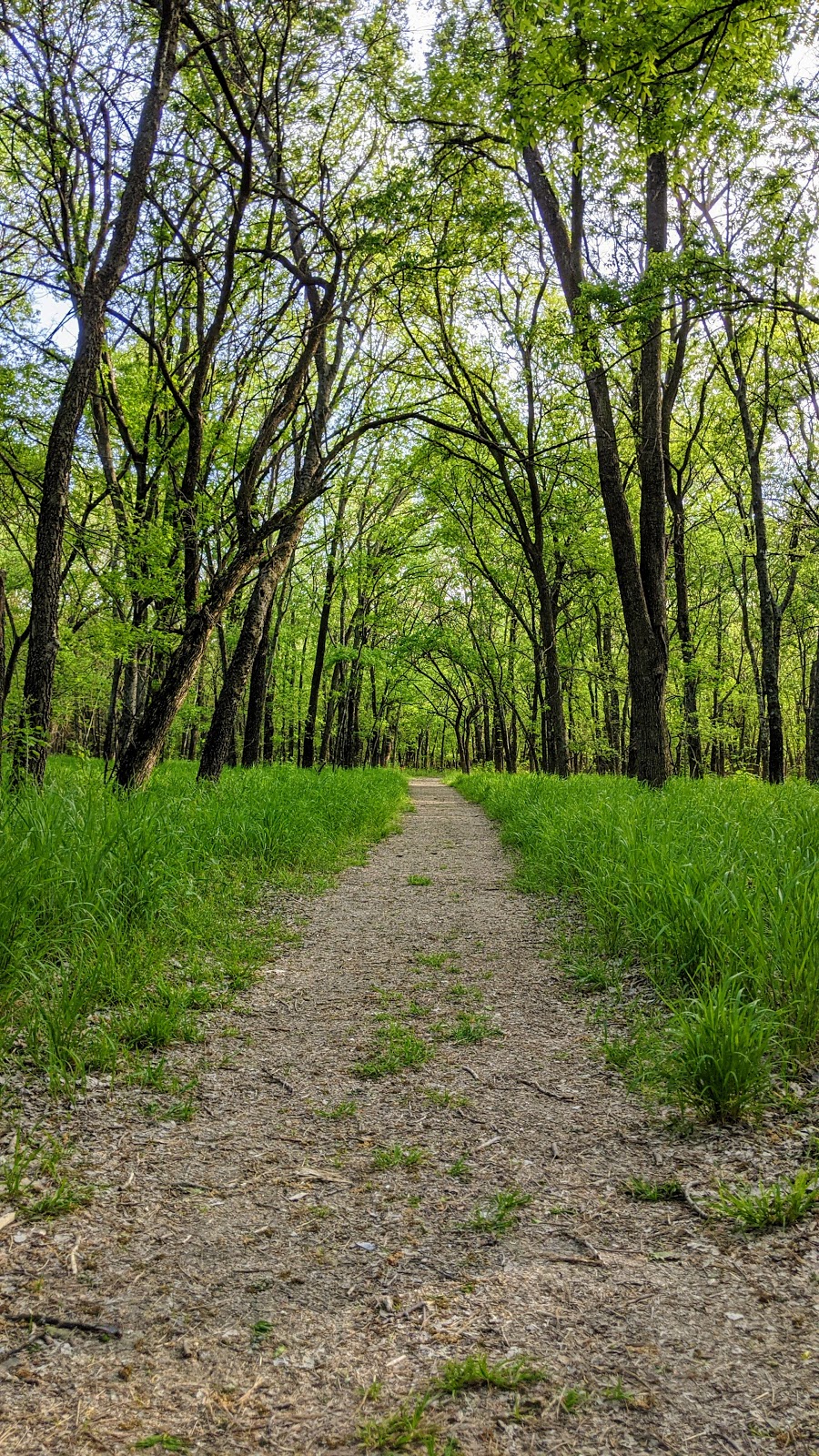 Clear Creek Natural Heritage Center | 3310 Collins Rd, Denton, TX 76208, USA | Phone: (940) 349-7275