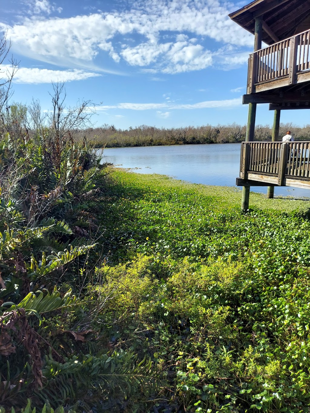 Sawgrass Lake Park | 7400 25th St N, St. Petersburg, FL 33702, USA | Phone: (727) 582-2100