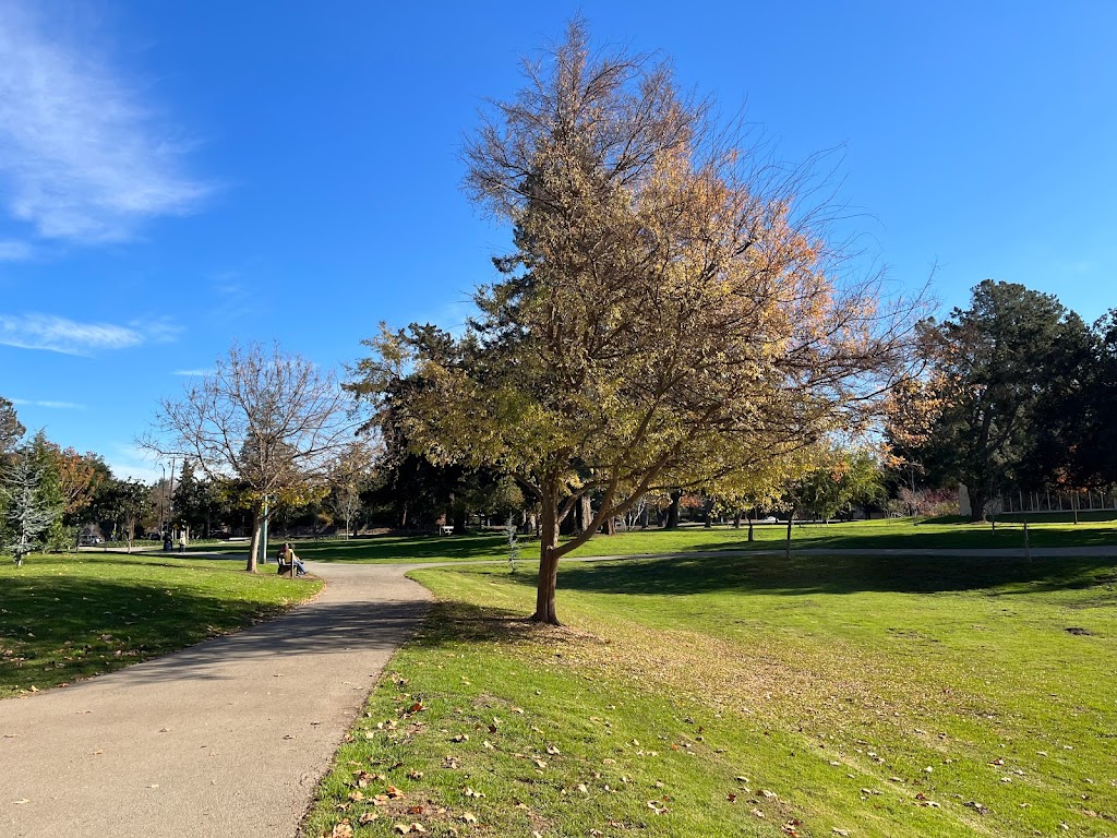 Cuesta Park | 615 Cuesta Dr, Mountain View, CA 94040, USA | Phone: (650) 903-6326