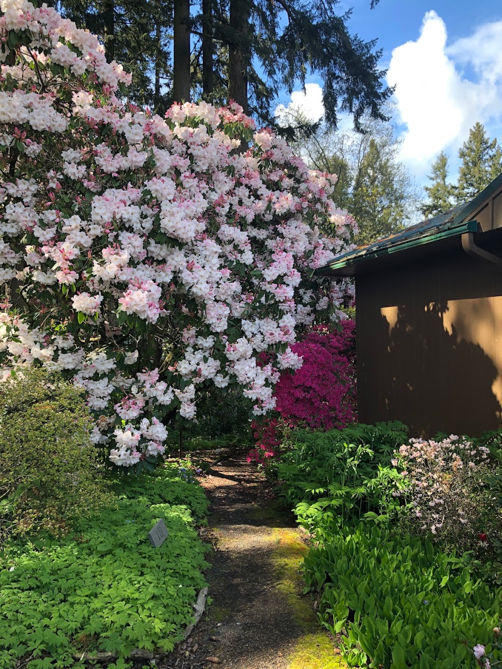 Cecil & Molly Smith Garden | 5055 Raybell Rd NE, St Paul, OR 97137, USA | Phone: (503) 625-6331