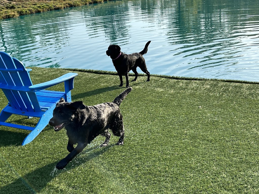 Happy Hounds Playground - Membership Dog Park | 2448 Pond Rd, Grover, MO 63040, USA | Phone: (314) 456-8358