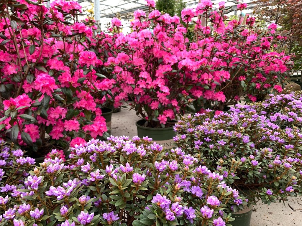 SiteOne Landscape Supply | 4N755 Foxdale Dr, Addison, IL 60101, USA | Phone: (630) 773-8090