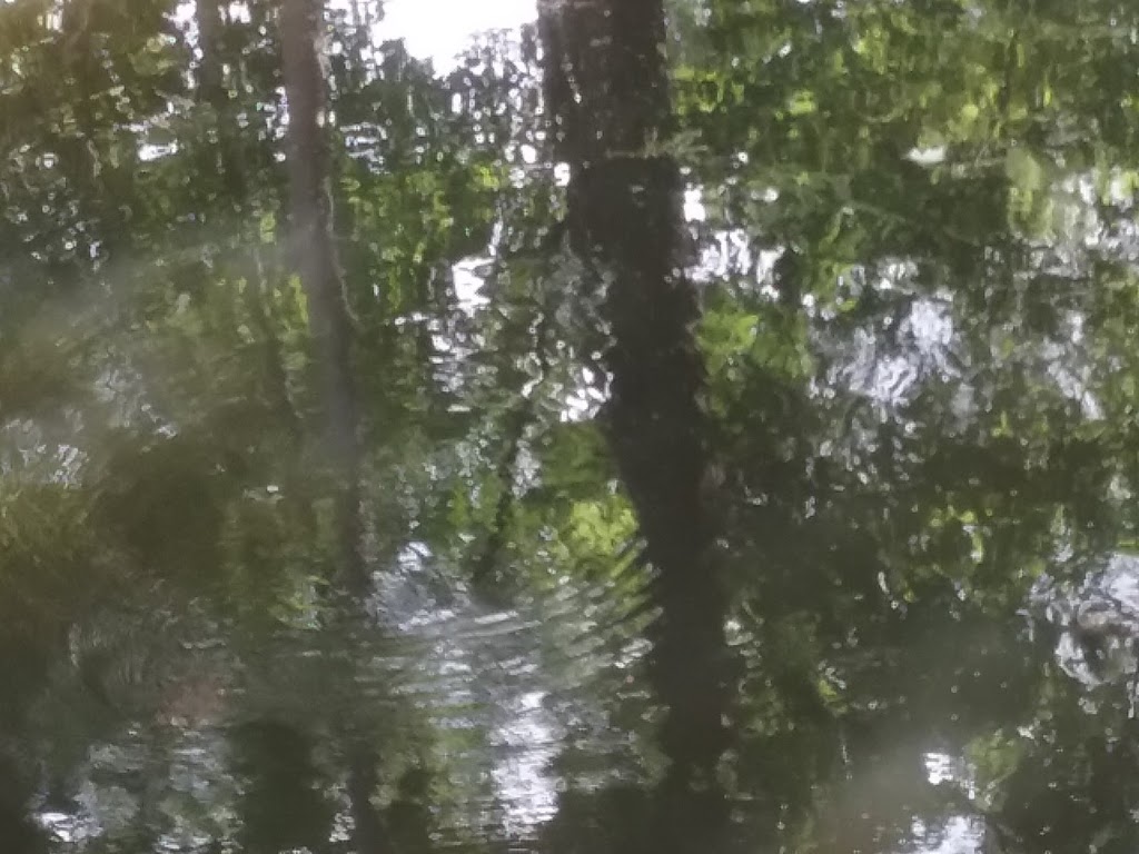 Home Run Signs | 5469 Albright Dr, Virginia Beach, VA 23464, USA | Phone: (757) 479-4494