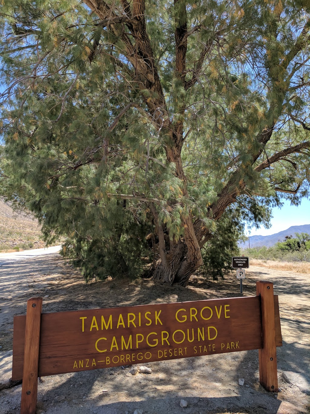 Tamarisk Grove Campground | Anza Borrego Desert State Park, 5960 Yaqui Pass Rd, Julian, CA 92036, USA | Phone: (760) 767-4205