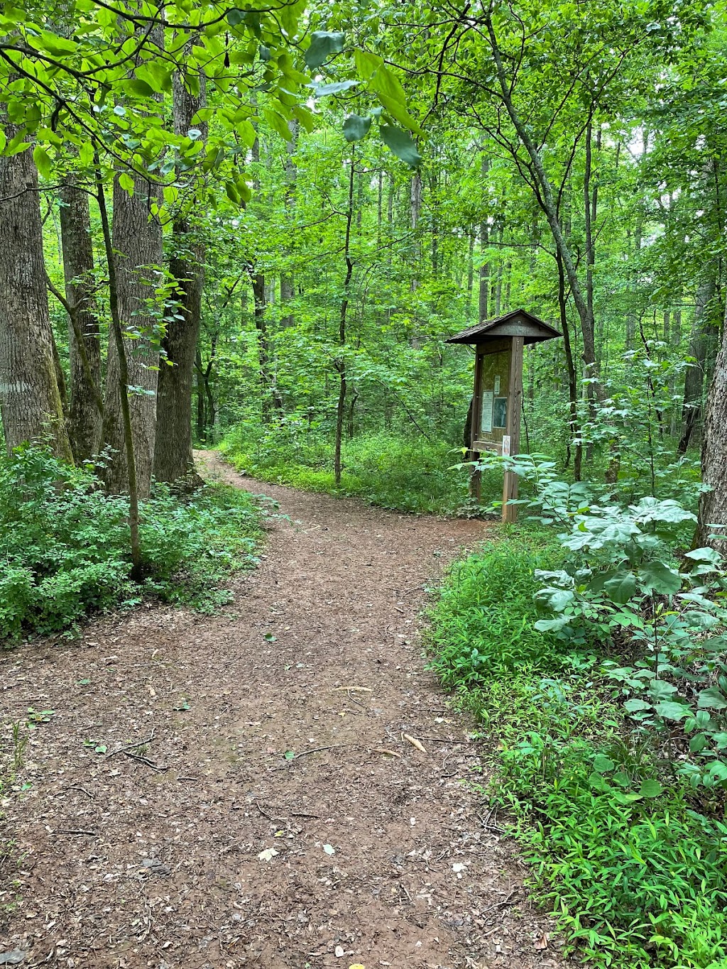 Seven Mile Creek Natural Area | 2201 Moorefields Rd, Hillsborough, NC 27278, USA | Phone: (919) 245-2660