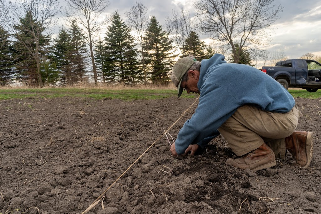 Gysland Brothers Farm | 486 220th St W, Jordan, MN 55352, USA | Phone: (952) 913-5553
