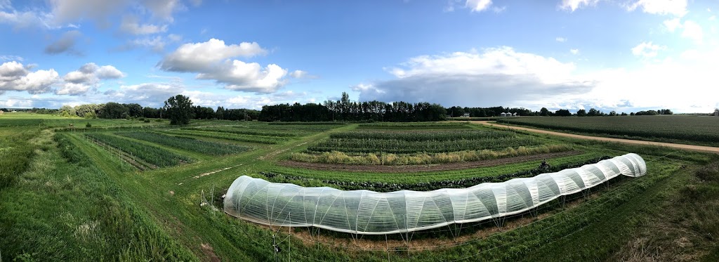 Clover Bee Vegetable Farm | 35145 Reed Ave, Shafer, MN 55074, USA | Phone: (952) 261-3312
