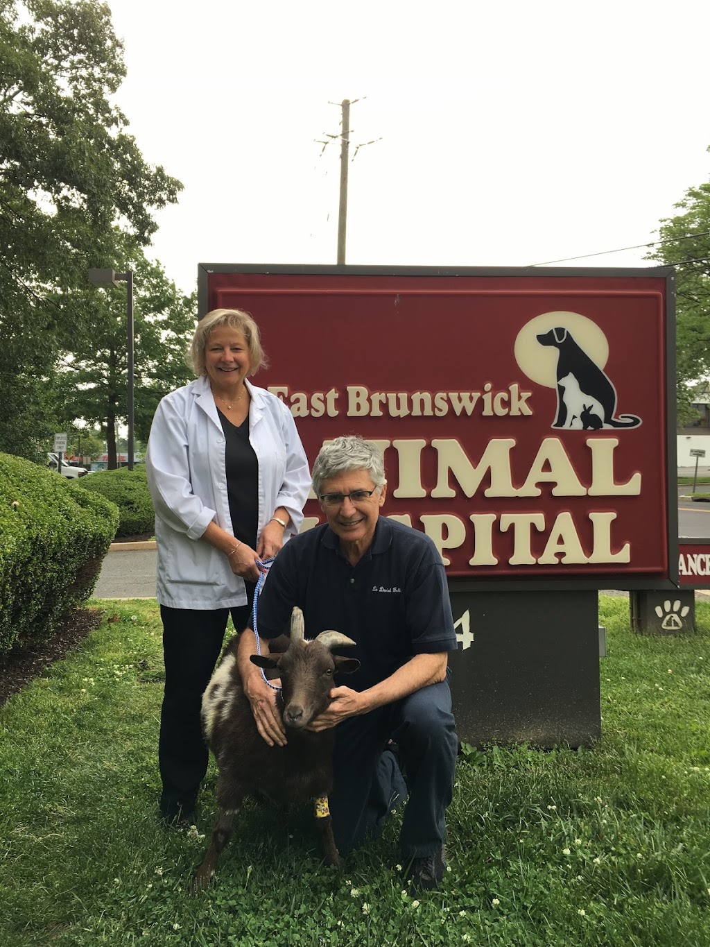 East Brunswick Animal Hospital | 44 Arthur St, East Brunswick, NJ 08816, USA | Phone: (732) 254-1212