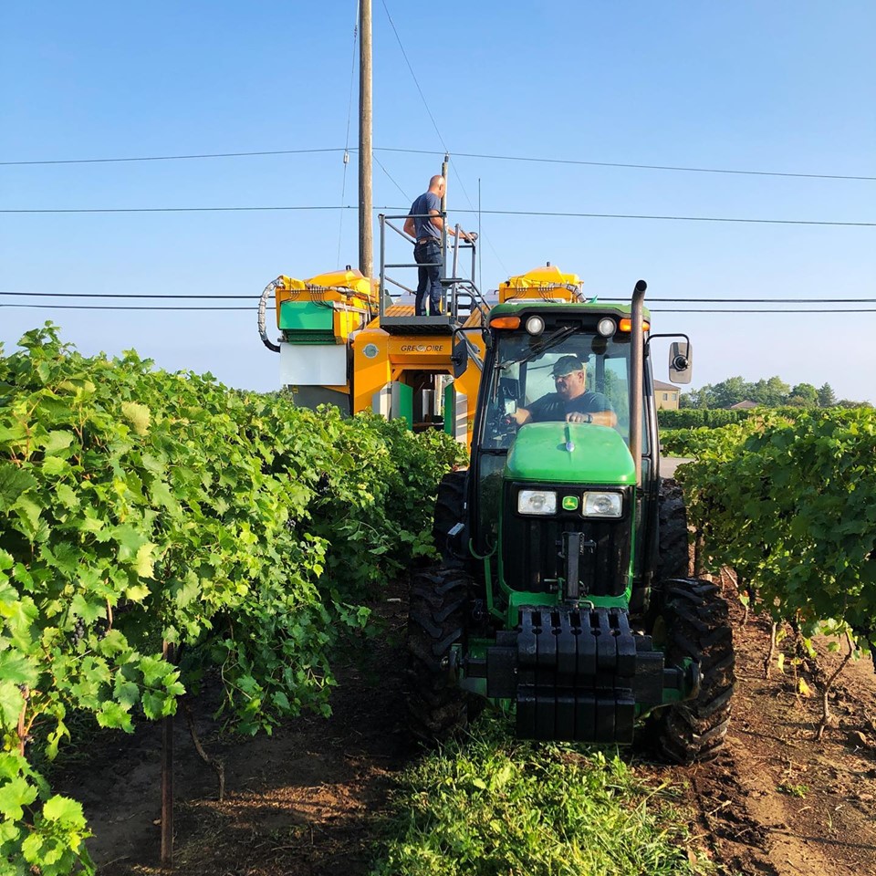 Lakeview Vineyard Equipment Inc. | 40 Lakeshore Rd, Niagara-on-the-Lake, ON L0S 1J0, Canada | Phone: (905) 646-8085