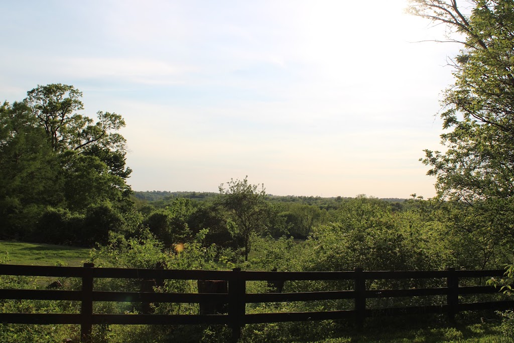 Forest Run Metropark | 1810 New London Rd, Hamilton, OH 45013, USA | Phone: (513) 867-5835