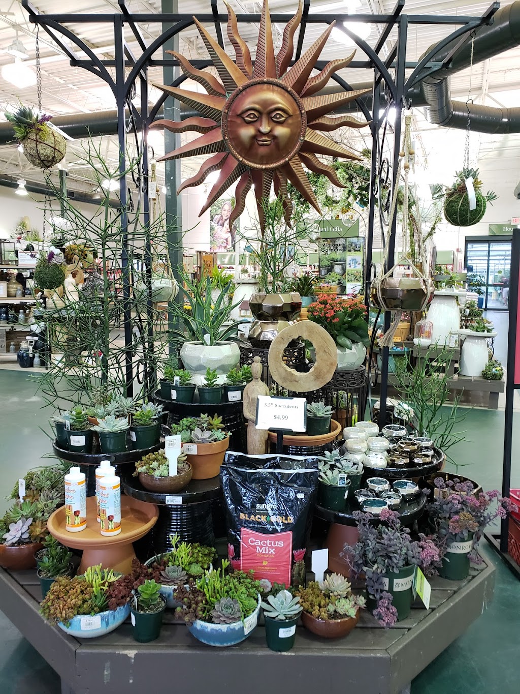 Pike Nurseries | 2475 Towne Lake Pkwy, Woodstock, GA 30189 | Phone: (770) 926-3252