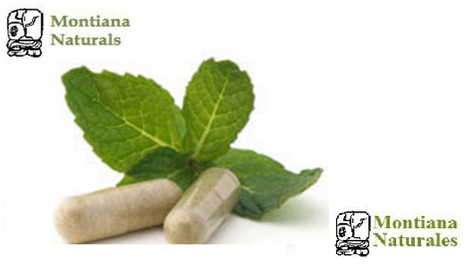 Montiana Naturales | 1929 E Gage Ave, Los Angeles, CA 90001, USA | Phone: (323) 231-9160
