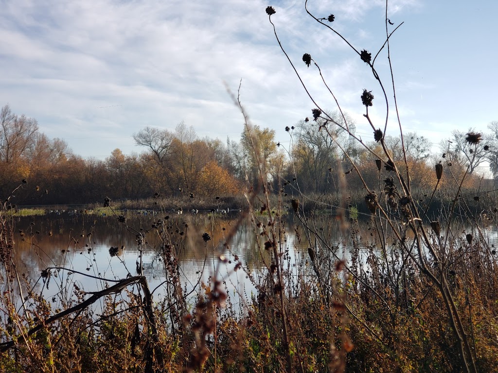 Sutter National Wildlife Refuge | 4529 Schlag Rd, Yuba City, CA 95993, USA | Phone: (530) 934-2801
