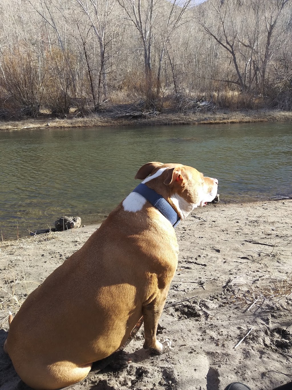 Carson River Canyon Open Space | Carson City, NV 89701, USA | Phone: (775) 887-2262