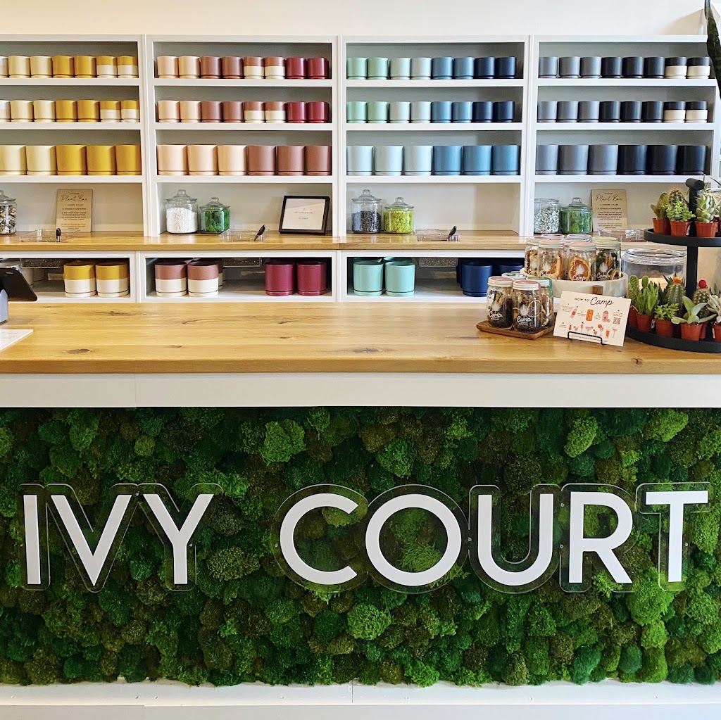 IVY COURT plants + home | 3012 Far Hills Ave, Kettering, OH 45429, USA | Phone: (937) 204-0725