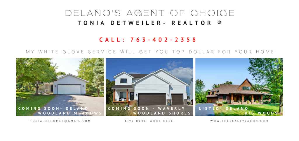 The Realty Lab | 220 River St N Suite A, Delano, MN 55328, USA | Phone: (763) 595-1277