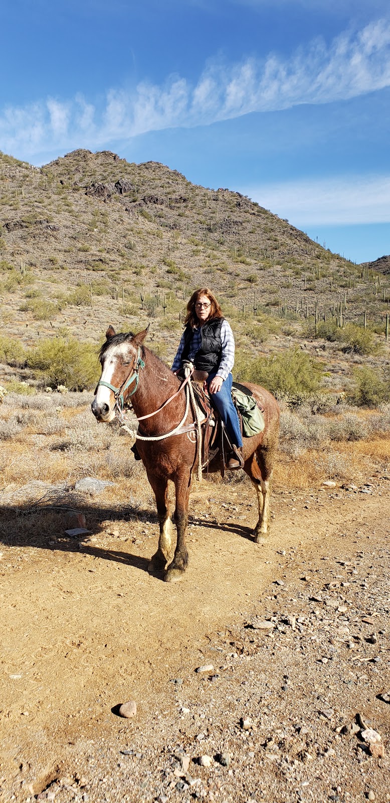 Cave Creek Regional Park | 37900 E Cave Creek Pkwy, Cave Creek, AZ 85331, USA | Phone: (623) 465-0431