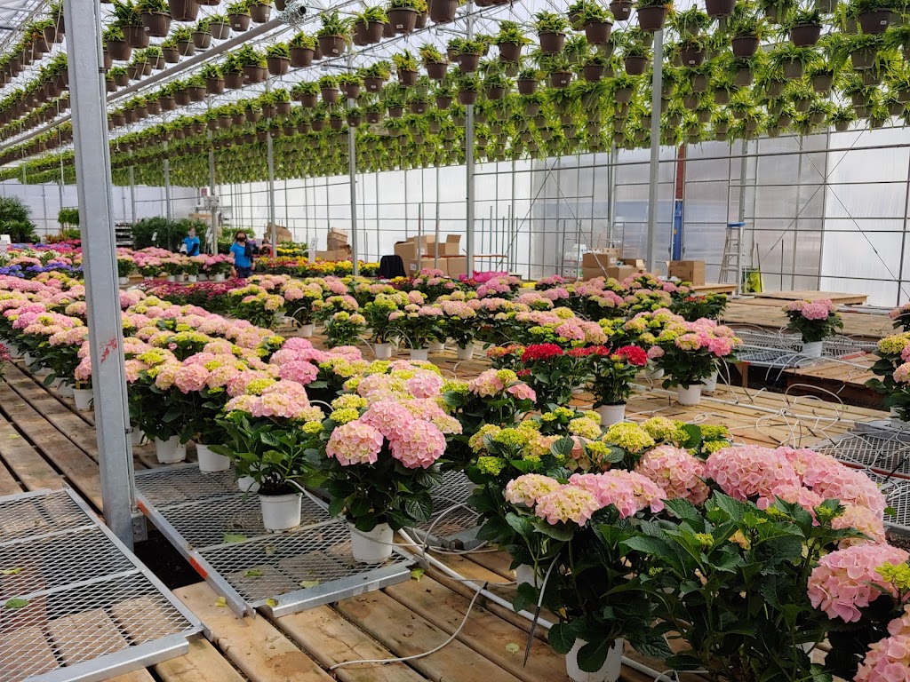 Vermeers Garden Centre & Flower Shop | 684 S Pelham Rd, Welland, ON L3C 3C8, Canada | Phone: (905) 735-5744