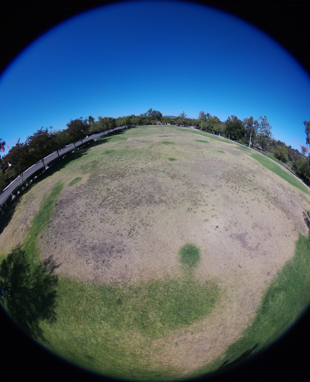 Shadowridge Park | 2101 Lupine Hills Dr, Vista, CA 92081, USA | Phone: (760) 726-1340