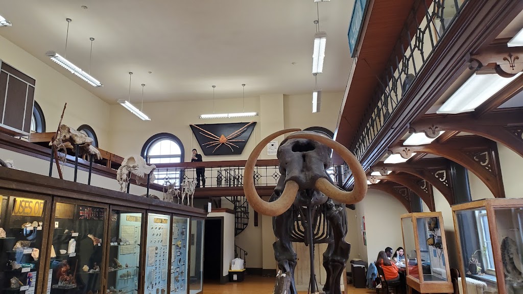 Rutgers Geology Museum | Geology Hall, 85 Somerset St, New Brunswick, NJ 08901 | Phone: (848) 932-7243