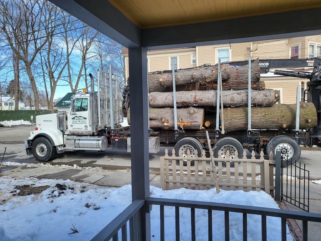 High Peaks Tree Removal | 71 Big Boom Rd, Queensbury, NY 12804, USA | Phone: (518) 668-9601