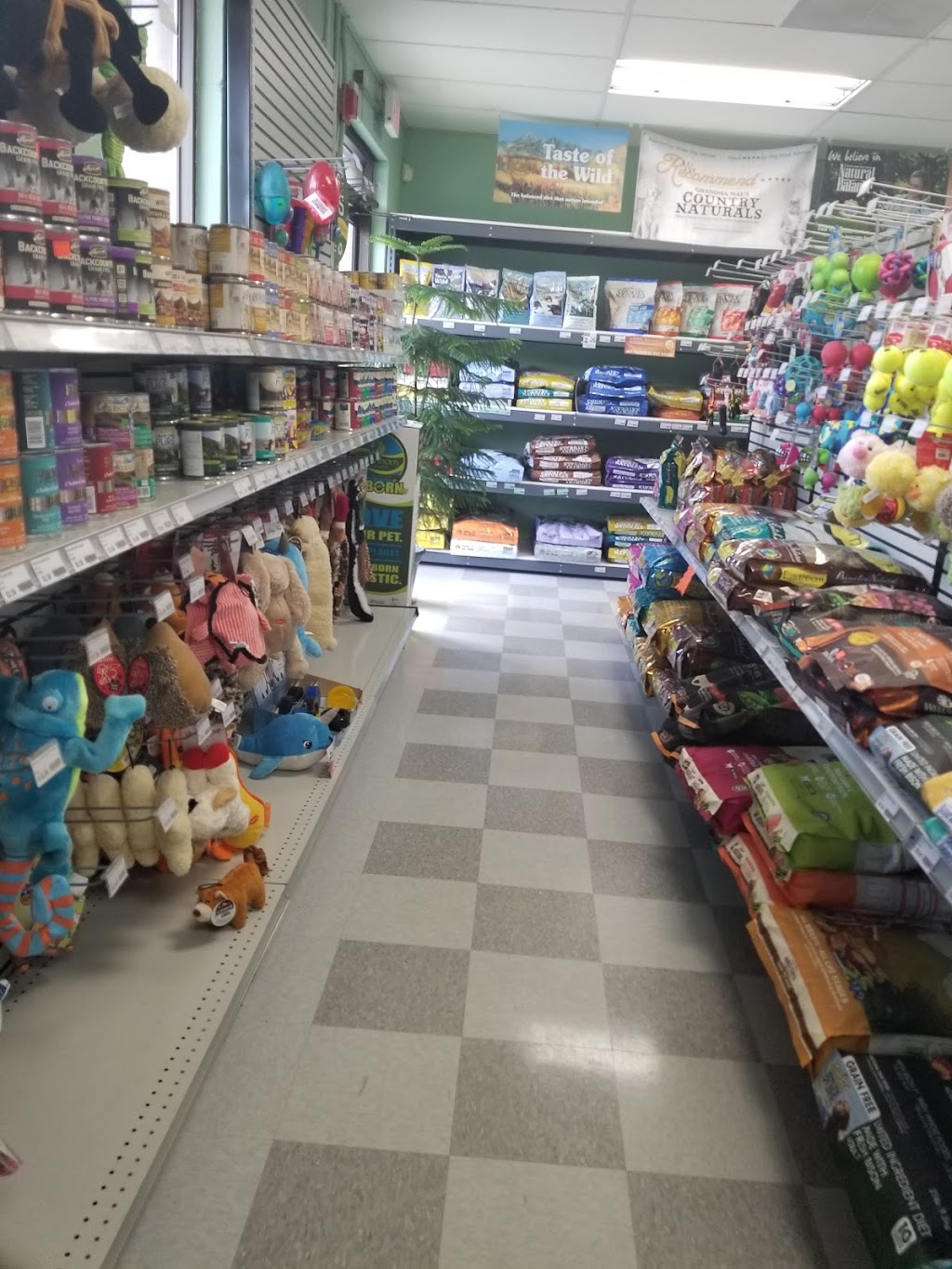 Bird Supply of New Hampshire & the Pet Stop | 522 Amherst St, Nashua, NH 03063, USA | Phone: (603) 882-4737