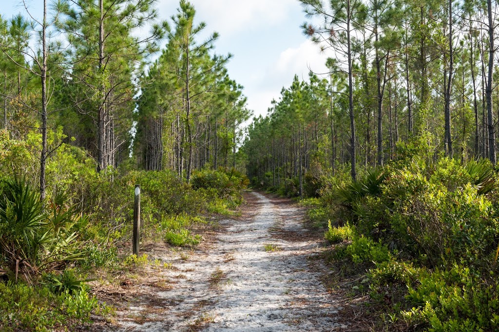 Twelve Mile Swamp Conservation Area | 440 International Golf Pkwy, St. Augustine, FL 32095 | Phone: (386) 329-4404