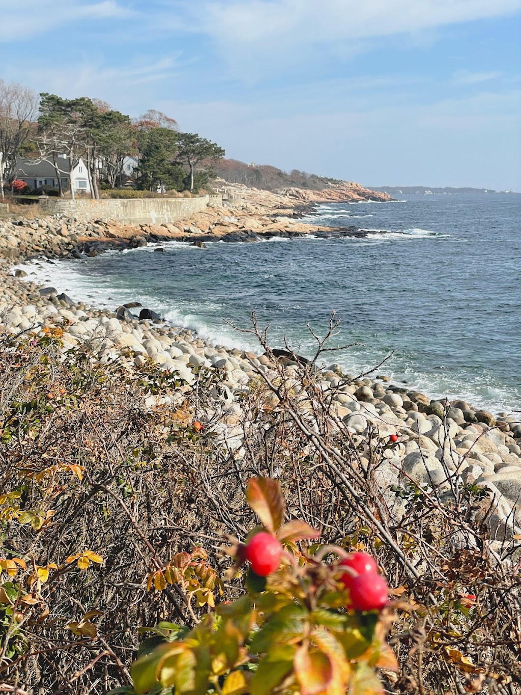 Magnolia Rocks Dive Site Public Access | 36 Shore Rd, Gloucester, MA 01930, USA | Phone: (978) 281-9720