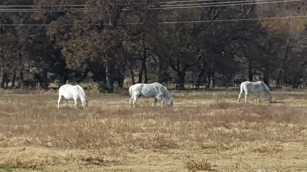 Dreamcatcher Carriage | 13504 W 171st St S, Sapulpa, OK 74066, USA | Phone: (918) 227-4243