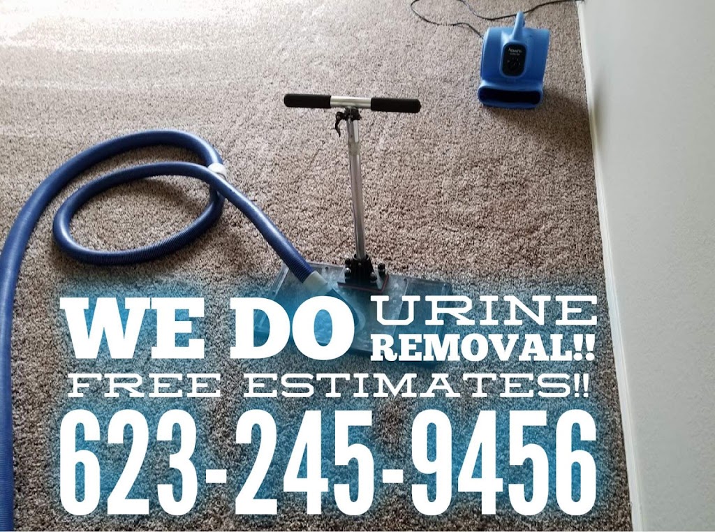 1ST CHOICE Carpet Cleaning | 4319 N 108th Ave, Phoenix, AZ 85037, USA | Phone: (623) 245-9456