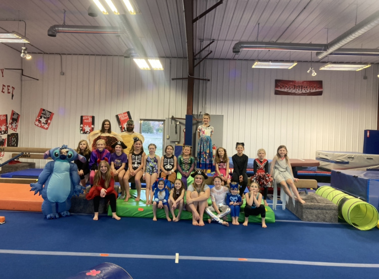 Flyaways North Gymnastics | 5865 433rd St, Harris, MN 55032, USA | Phone: (651) 277-4496