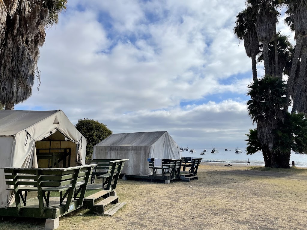 Mountain and Sea Adventures | 1 Whites Landing Road, Avalon, CA 90704, USA | Phone: (310) 519-3172