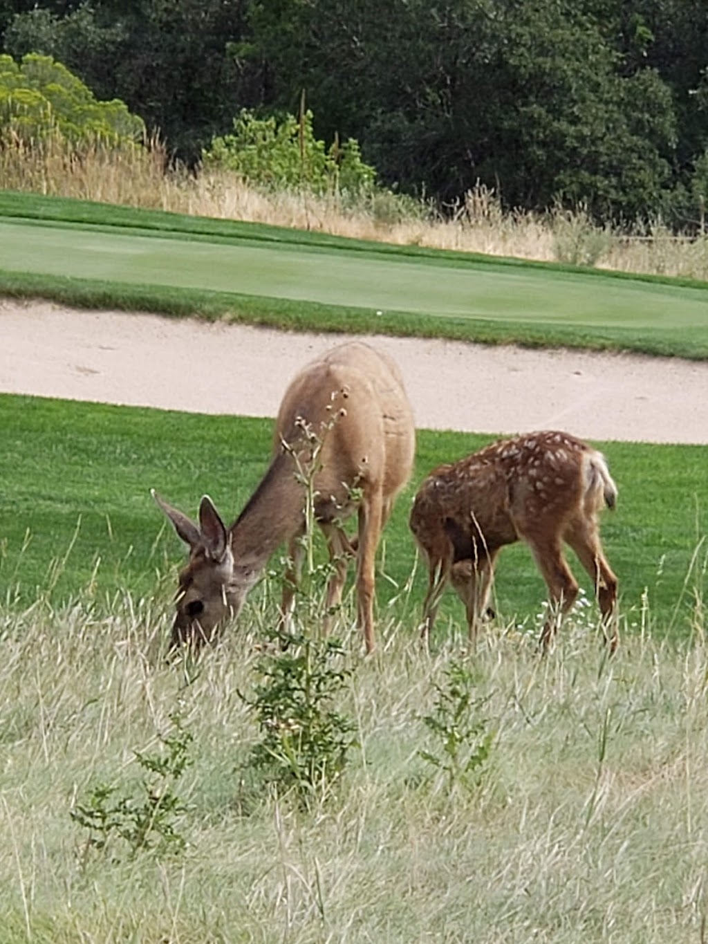 On the Rocks Bar & Grill at Arrowhead Golf Club | 10850 Sundown Trail, Littleton, CO 80125, USA | Phone: (720) 828-6353