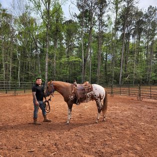 Wild Creek Ranch | 370 Ridge Rd, Covington, GA 30016, USA | Phone: (404) 960-1224