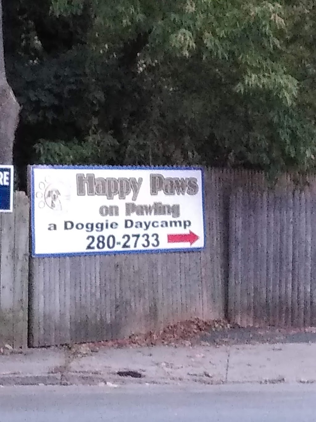 Happy Paws on Pawling - a doggie daycamp | 670 Pawling Ave, Troy, NY 12180, USA | Phone: (518) 280-2733