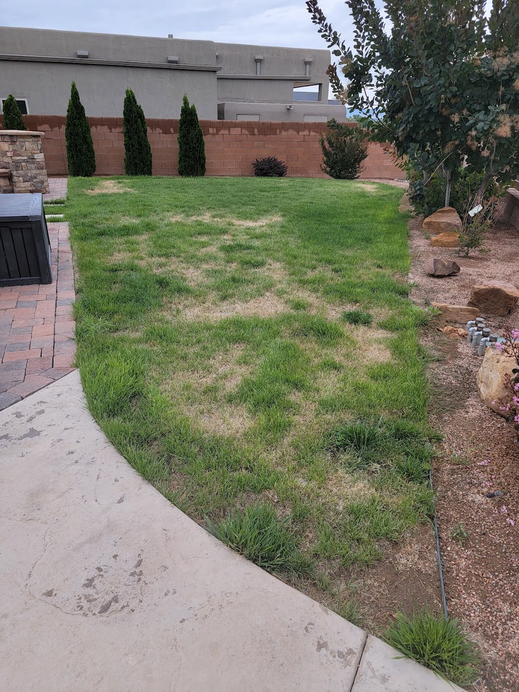 Lawn Doctor of Albuquerque | 5224 2nd St NW Ste A, Albuquerque, NM 87107, USA | Phone: (505) 884-4433