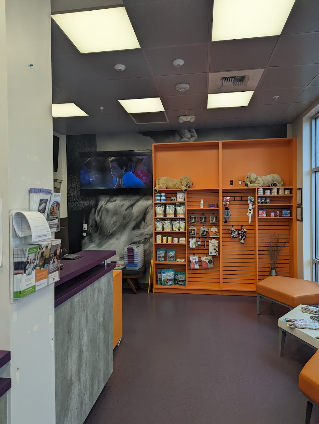 Wagly Veterinary Hospital and Pet Campus | Lake Hills | 639 156th Ave SE Bldg D, Bellevue, WA 98007, USA | Phone: (425) 598-8606