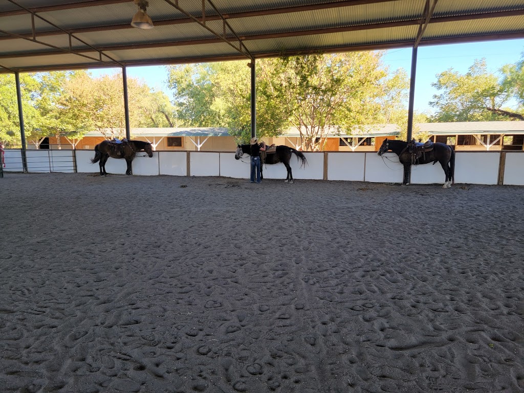 Texas Trail Rides | Texas Horse Center | 9606 Farm to Market Rd 1826, Austin, TX 78737, USA | Phone: (512) 697-9722